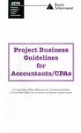 Project business guidelines for accountants/CPAs