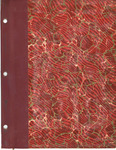 Minutes of meetings of the Board of Examiners of the American Institute of Accountants, December 22, 1936-April 1, 1946. by American Institute of Accountants. Board of Examiners