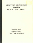 Auditing Standards Board Public Document, Meeting Date: June 2-3, 1999 New York, New York