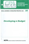 Developing a budget; Management advisory services practice aids. Small business consulting practice aid, 10