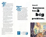 small business has a big problem by American Institute of Certified Public Accountants. Private Companies Practice Section