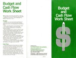 Budget and cash flow work sheet