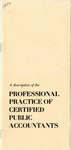 Description of the professional practice of certified Public Accountants