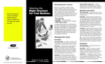 Selecting the right structure for your business. (brochure) by American Institute of Certified Public Accountants (AICPA)