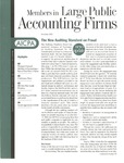 Members in Large Public Accounting Firms, November 2002