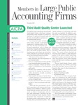 Members in Large Public Accounting Firms, November 2004