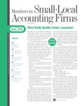 Members in Small Local Public Accounting Firms, November 2004 by American Institute of Certified Public Accountants (AICPA)