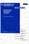 Environmental remediation liabilities, including auditing guidance