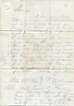 T. L. Treadwell to Lowndes Treadwell, 23 October 1866 by Timmons Louis Treadwell