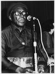 Sonny Terry (1980) by Pertti Nurmi and Sonny Terry