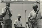 Little Willie Foster by Jim O'Neal, Little Willie Foster, Sam Carr, and James "T-Model" Ford