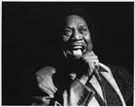 Bobby Blue Bland by Renato Tonelli and Bobby Bland