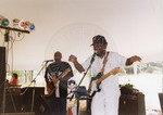 Willie King at the Chicago Blues Festival with Mike McCraken by Scott M. Bock, Willie King, and Mike McCraken