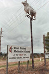 First United Methodist Church sign next to cow statue on a tall pole by Scott M. Bock