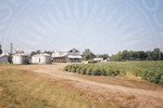 Farm with grain silos by Scott M. Bock