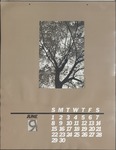 Calendar, published by the Chicago Reader, 1980, June by Chicago Reader and Marc PoKempner