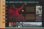 King Biscuit Blues Festival by Leslie R. Chin and Hammons and Associates