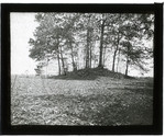 Photograph of tree covered mound