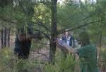 Recording data while extracting a boring from a pine tree by Marge Holland