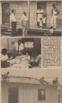 Joint Effort Means New Homes for Sugar Plantation Workers, 3 February 1968
