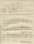 Special Requisition (No. 40). 88th O.V.I. Co. F. (no. 15, August 1864) by United States. Army. Quartermaster's Dept.