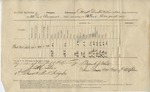 Ration Return (Camp Distribution, 22 August 1865)