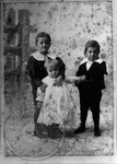 William, Jack, and John Faulkner as children by Unknown