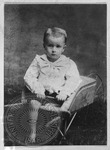 William Faulkner as a child in a wheelbarrow by Unknown