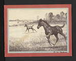 Card from JoSeptemberh Donnelly to Hubert Creekmore (27 December 1948) by Joseph Donnelly and Hubert Creekmore