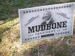 Mudbone for President Sign by Edward Movitz