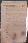 Ledger and account book Elliscliffe Plantation. 1860 by Elliscliffe Plantation