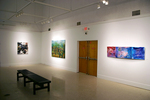 Gallery installation, three paintings