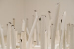 Radix Set, Installation view 2 by Nicholas Meyer