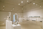 Inevitable, Imminent, Impending, Installation view 3 by Nicholas Meyer