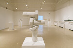 Anticipate, Installation view by Nicholas Meyer