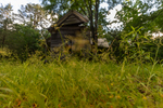 Farmhouse Lawn by Thad Lee
