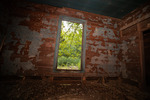 Farmhouse Wallpaper Remnants and Blue Beadboard by Thad Lee