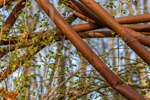 The Old Gate to Greenfield Farm