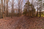Late Light on the Walkway Entrance by Thad Lee