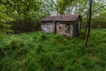 Corncrib in a Sea of Japanese Stilt Grass and Japanese Smartweed by Thad Lee
