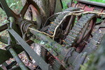 Vine Snaking Across Hay Baler Gears by Thad Lee