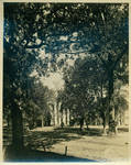 View of a portion of The Circle and The Lyceum taken from in front of Gordon Hall by Author Unknown
