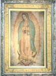El culto a la Virgen de Guadalupe en México by Heather Allen and Diane Marting