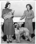 Nell Eastland and Janice Lovre with two dogs by Del Ankers