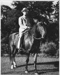 Unidentified man on a horse. by Author Unknown