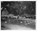 Memorial Day at Biloxi Veterans Administration Center showing seated audience and graves by Balius and United States. Veterans Administration