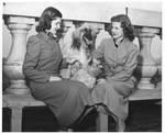 Nell Eastland and Janice Lovre with Afghan Hound and Cairn Terrier. by Del Ankers