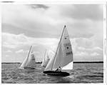 Three two-man sailboats by Chauncey T. Hinman (Gulfport, Miss.)