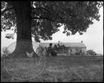 African American Farms and Houses, image 3 by Bern Keating