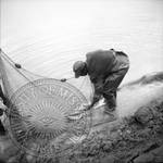 Fish Farming, image 1 by Bern Keating